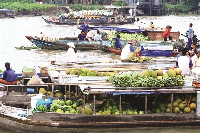 Preserving the Mekong Deltas floating markets